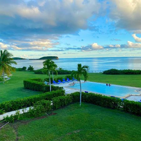 Blue Horizon Boutique Resort (Adults Only) Vieques Exteriér fotografie