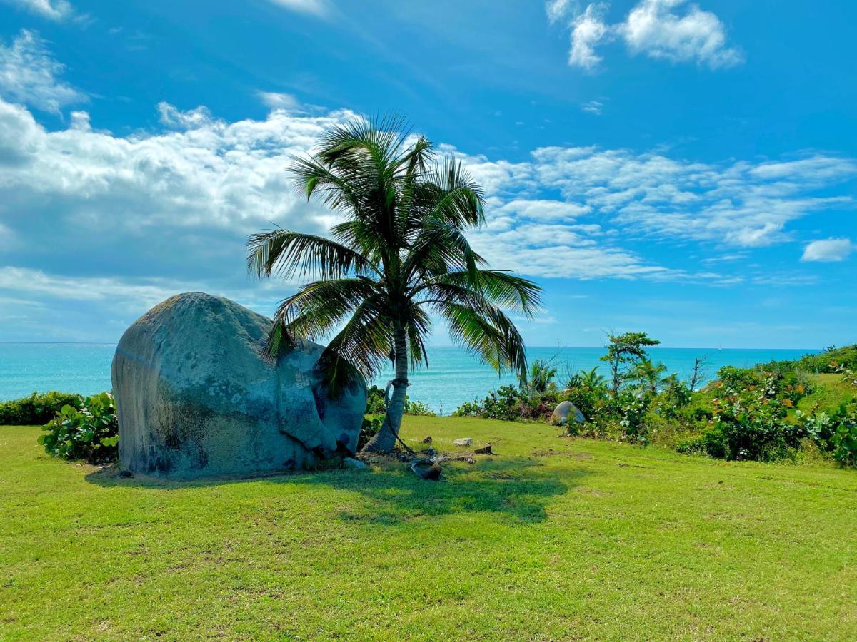 Blue Horizon Boutique Resort (Adults Only) Vieques Exteriér fotografie