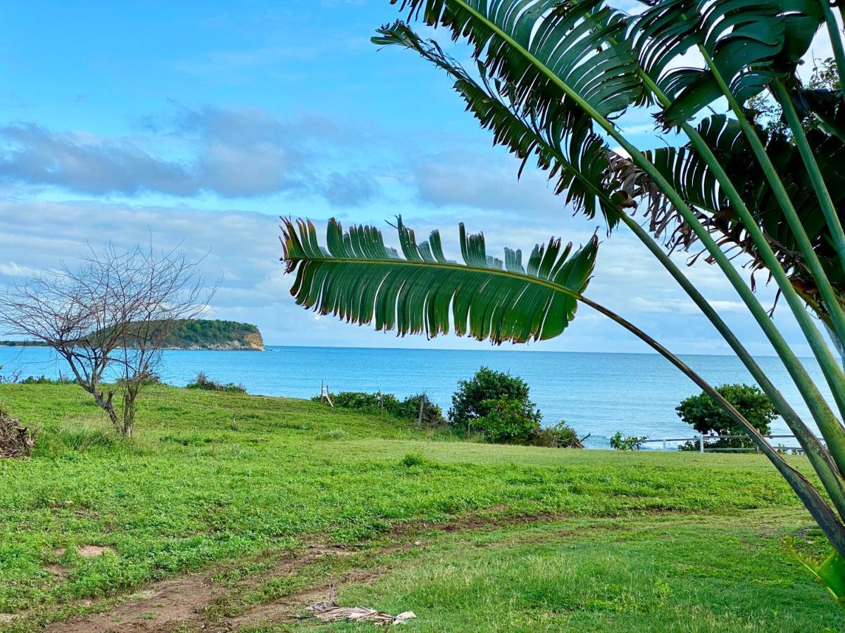 Blue Horizon Boutique Resort (Adults Only) Vieques Exteriér fotografie