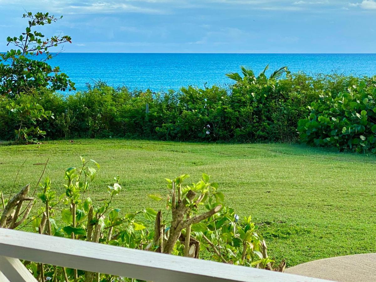 Blue Horizon Boutique Resort (Adults Only) Vieques Exteriér fotografie