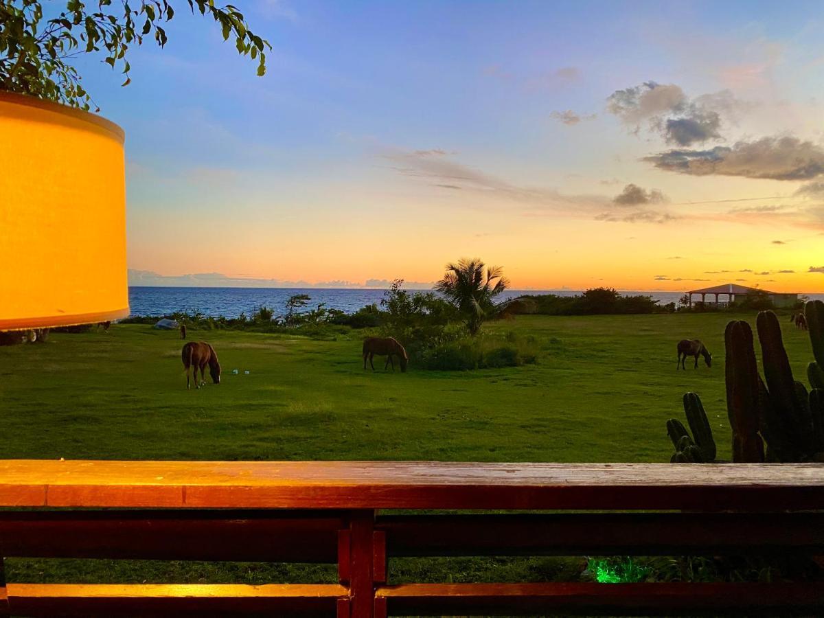 Blue Horizon Boutique Resort (Adults Only) Vieques Exteriér fotografie