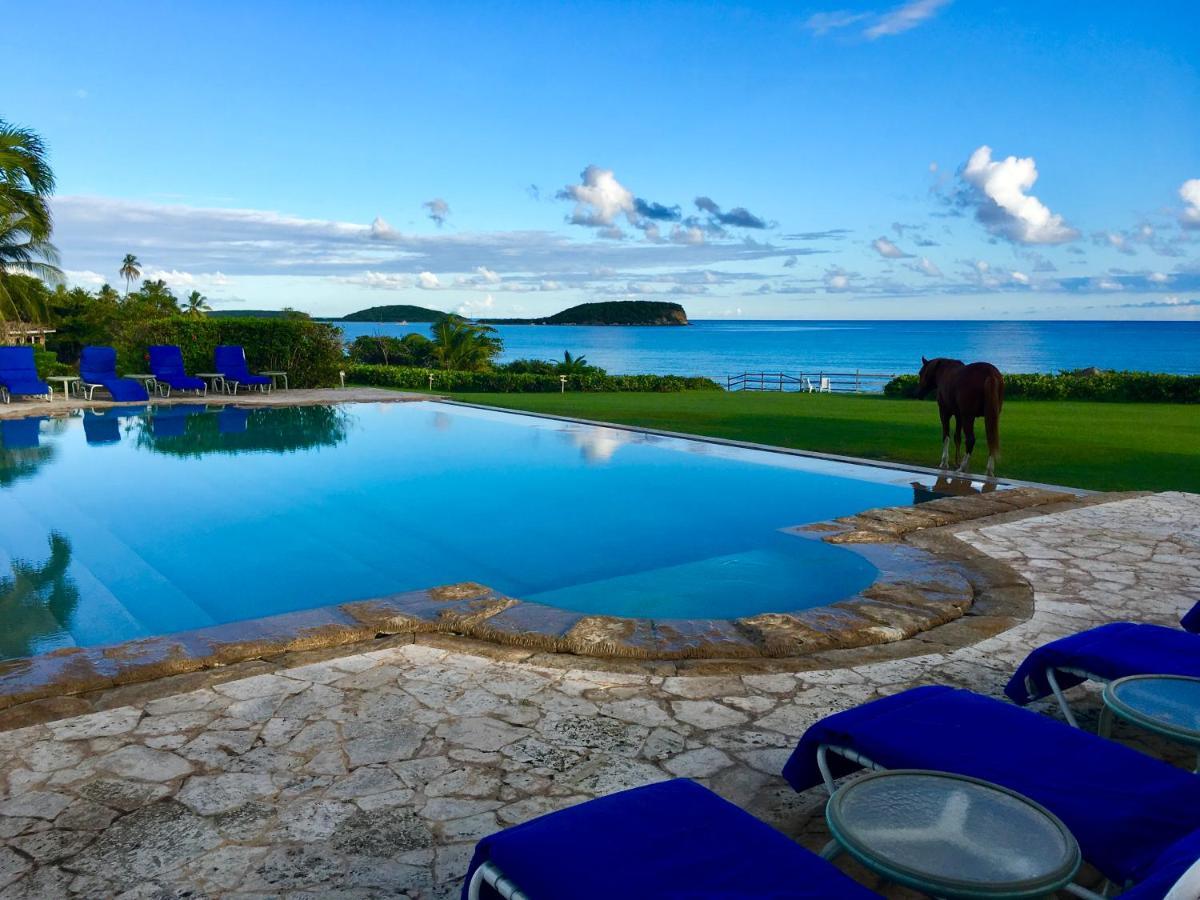 Blue Horizon Boutique Resort (Adults Only) Vieques Exteriér fotografie