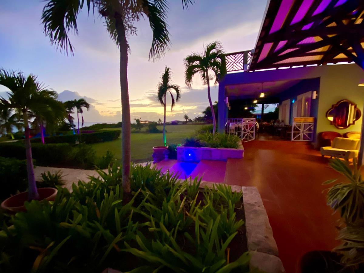 Blue Horizon Boutique Resort (Adults Only) Vieques Exteriér fotografie