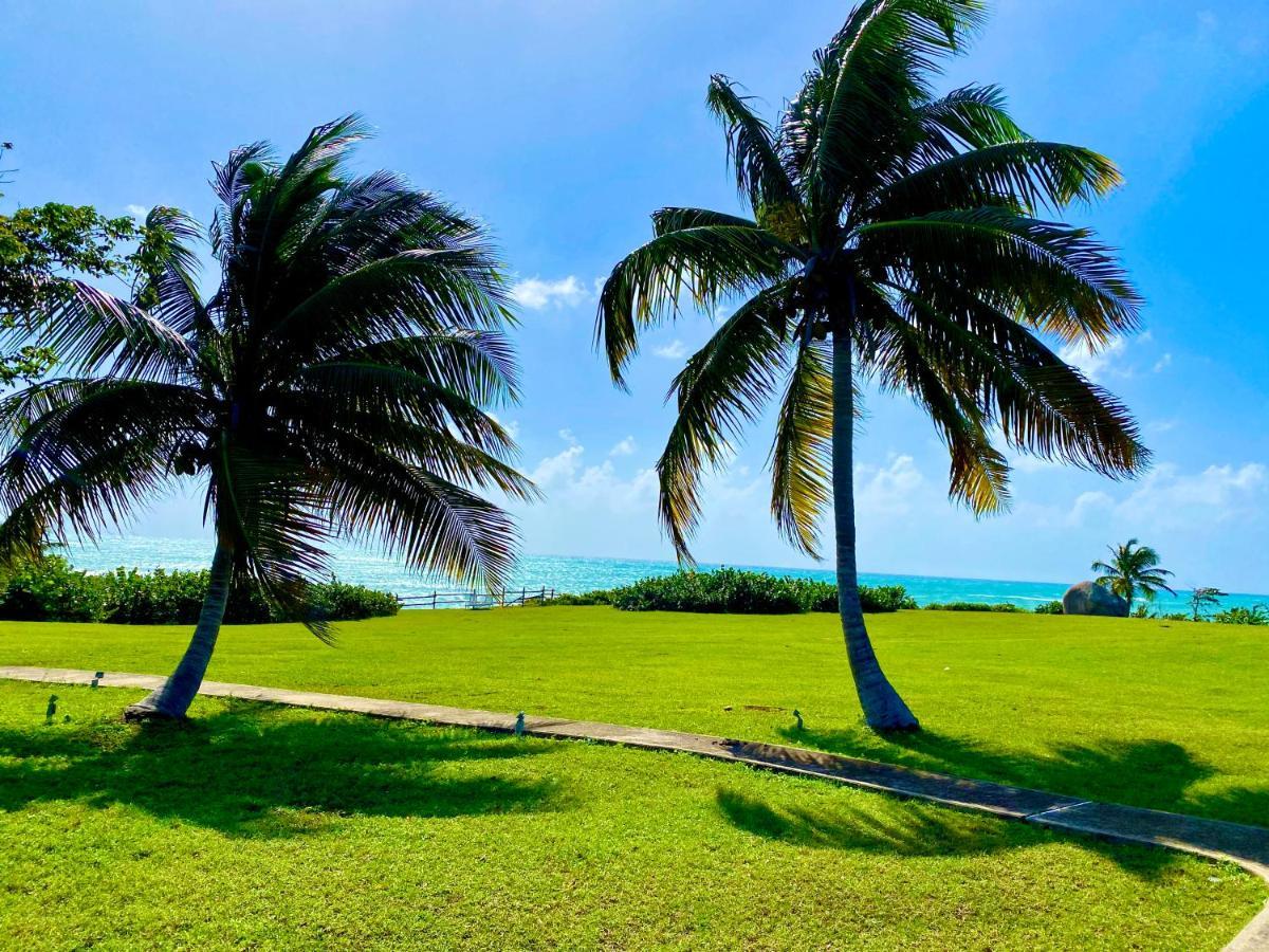 Blue Horizon Boutique Resort (Adults Only) Vieques Exteriér fotografie